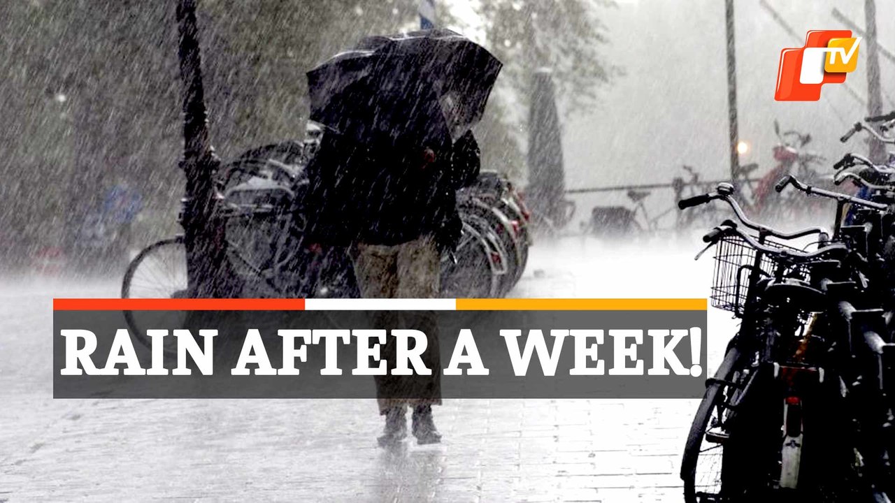 Odisha Weather: IMD Forecasts Rainfall Ahead, Check For Details
