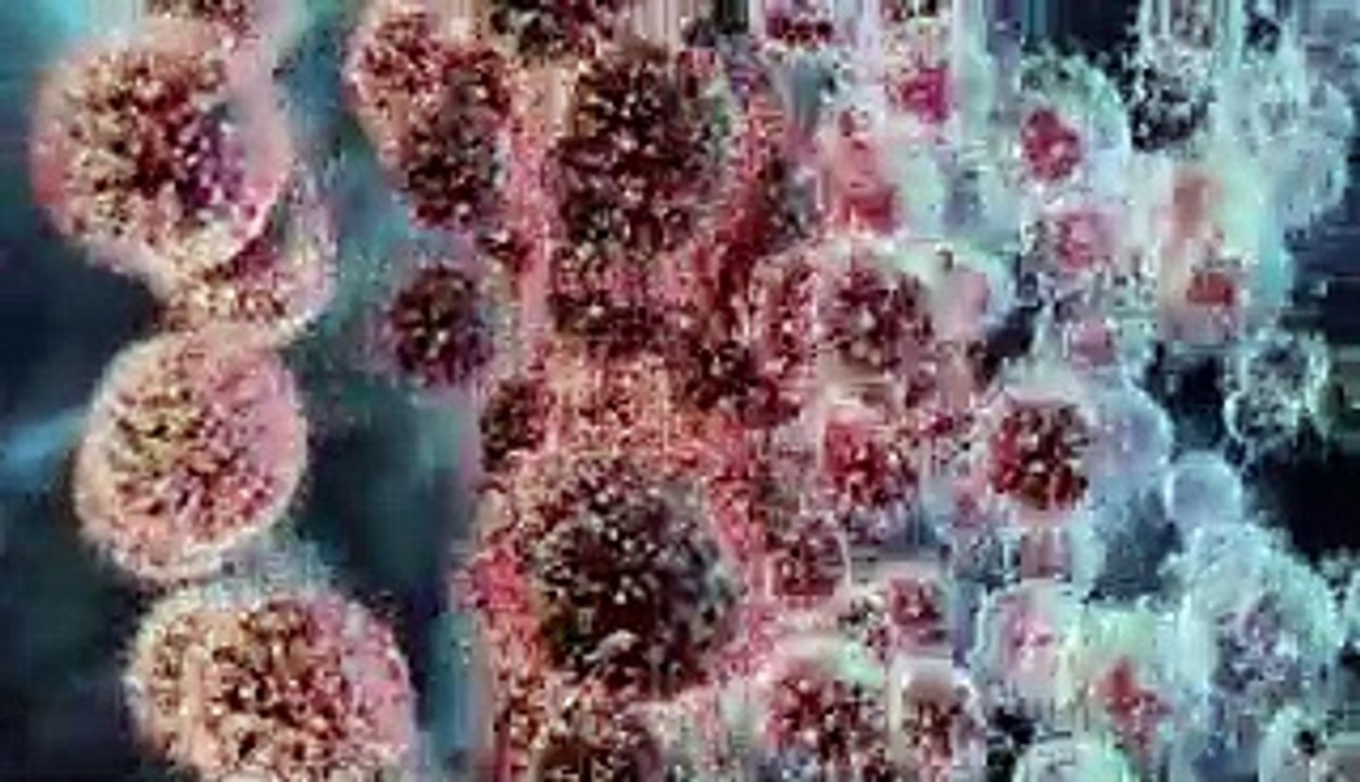 10 questions about the Omicron variant — including its symptoms and spread — answered by an expert