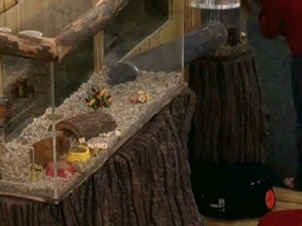 TELL ME WHAT THE BLOCKS MEAN2