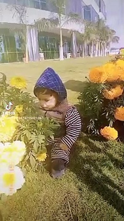 Cutebaby||babystatus#wtspstatus