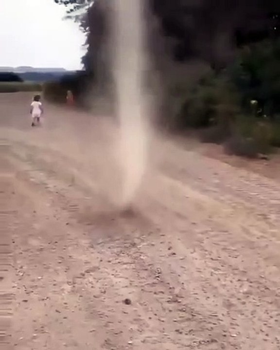 Dog Stops Tornado from Forming