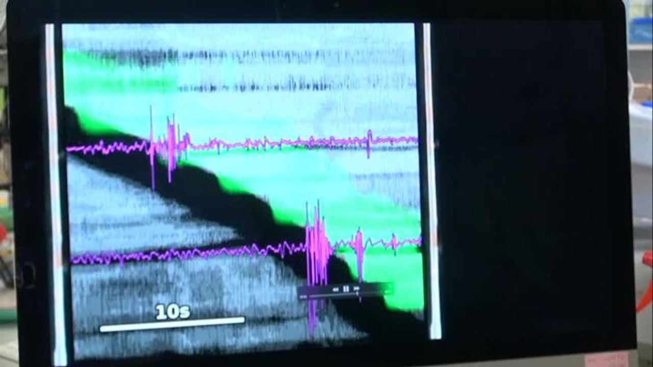 Cracking the Colon Code