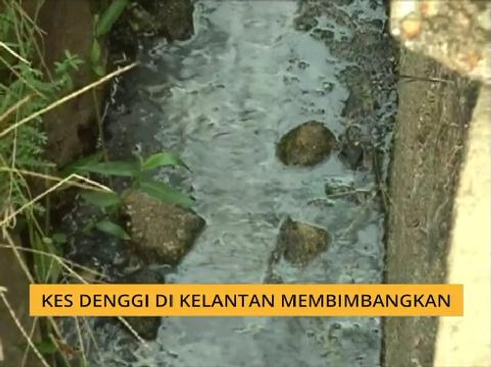 Kes denggi di Kelantan membimbangkan
