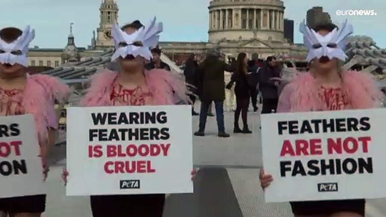 PETA protesta contra uso de penas na moda