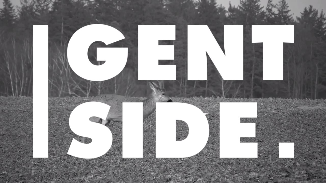 Here Is How You Can Tell The Difference Between A Roe Deer And A Red Deer