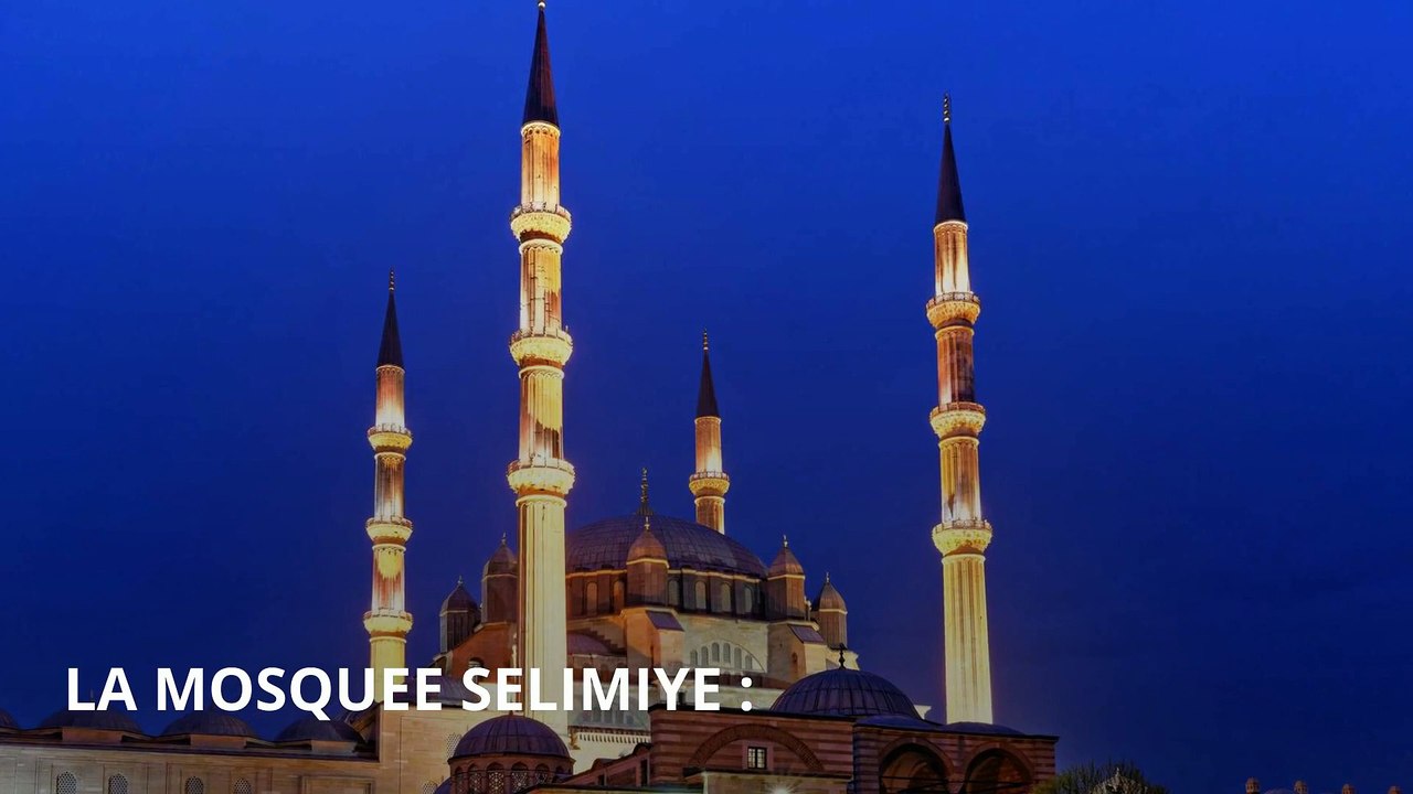 PASSEPORT - Nicosie, Chypre