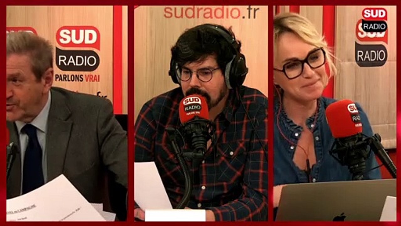Mélenchon, Zemmour, Jadot : retour sur les meetings du week-end