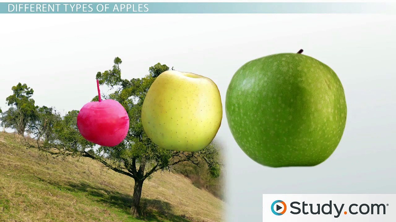 Isotopes and Average Atomic Mass