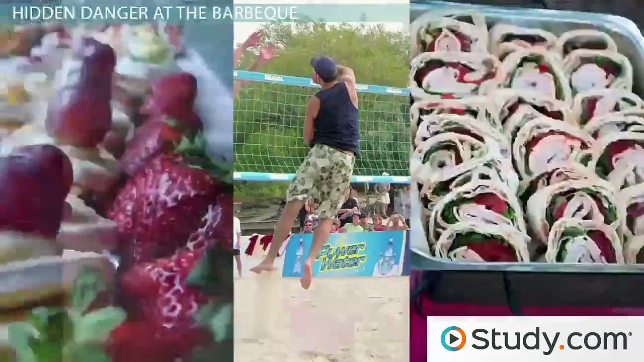 What Is a Foodborne Illness- - Definition and Common Types