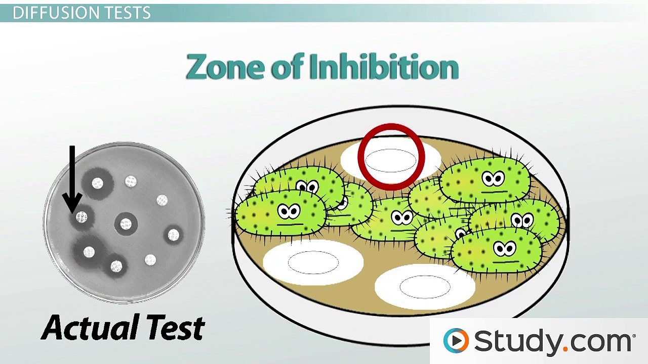 Antibiotic Effectiveness- MICs, Time- and Concentration-Dependent Antibiotics