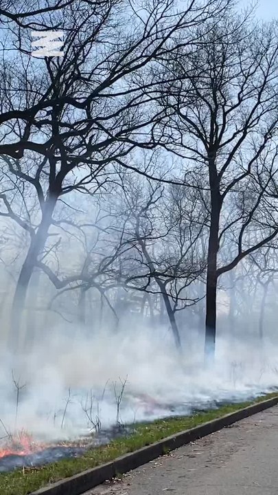 What Is A Prescribed Burn & How Does It Work?