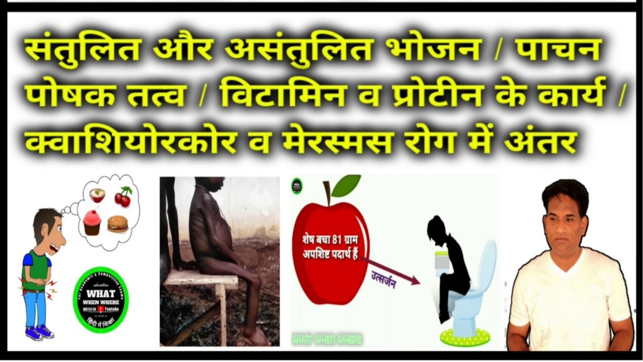 What is balanced diet ? || What is healthy food ? || Functions of vitamin and protein in our body || In hindi