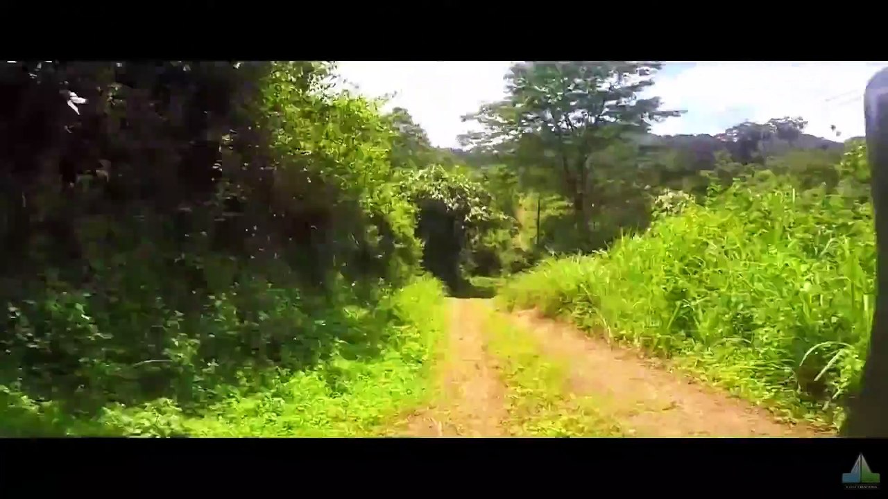 Cairless Malayalam Short Film – A Must-Watch Emotional Journey 🎬