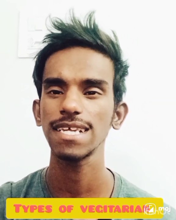 Types of vegetarian people 