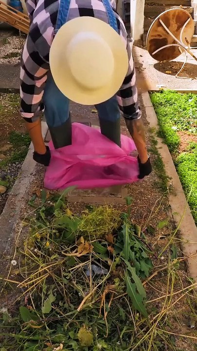 Awesome Ideas To Transform Your Backyard On A Budget!