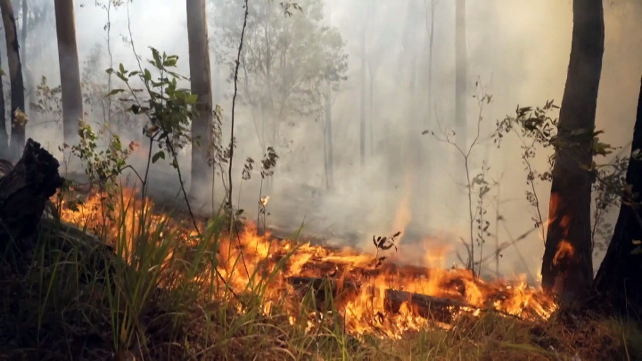 Queensland preparing for 'significant' bushfire season