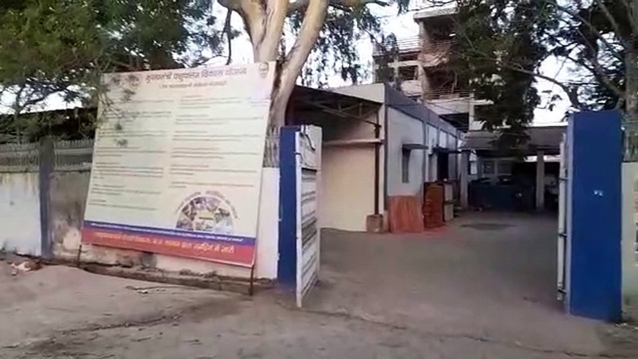 Applications for higher income and job profession are valid