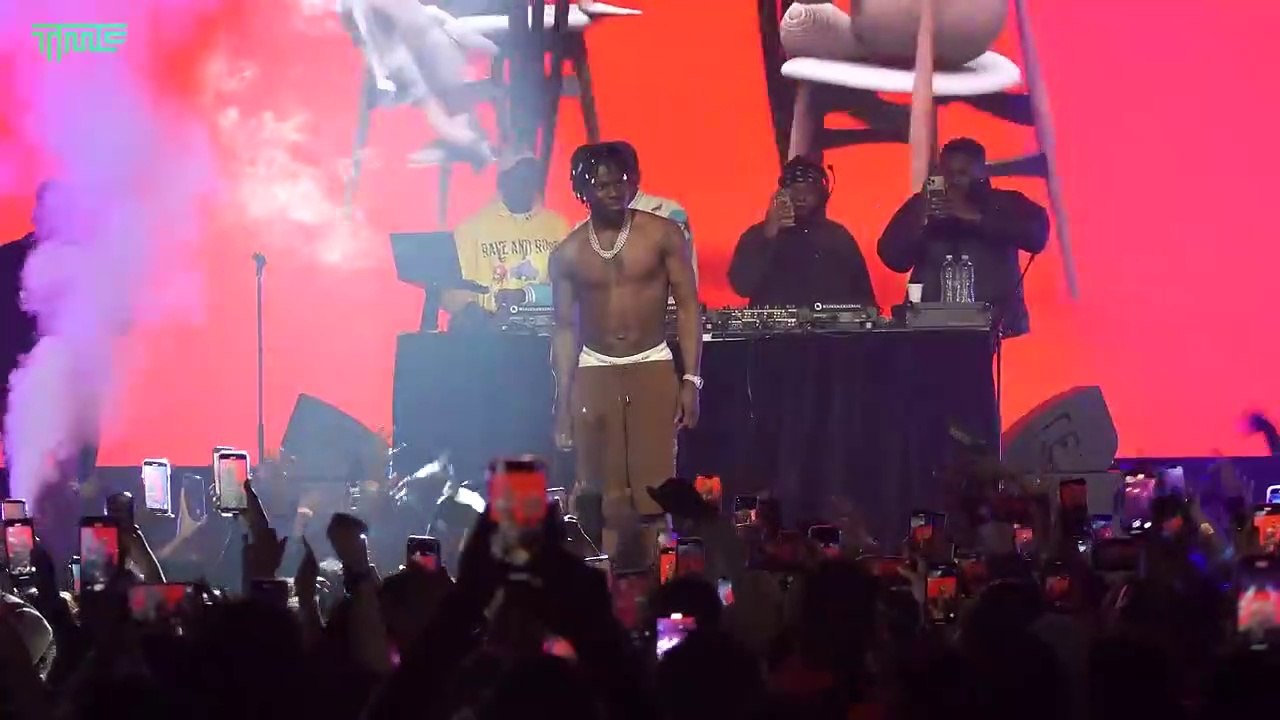 Crowd Singing to Rema Calm Down Live Performance Australia #rema #selenagomez #calmdown