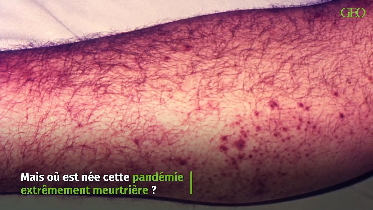 Origine de la peste noire