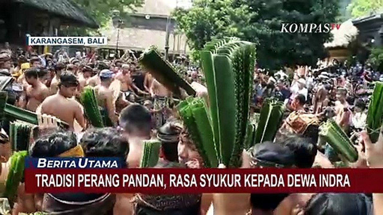Kembali Gelar Tradisi Unik, Begini Keseruan Warga Perang Pandan Sebagai Wujud Syukur ke Dewa Indra