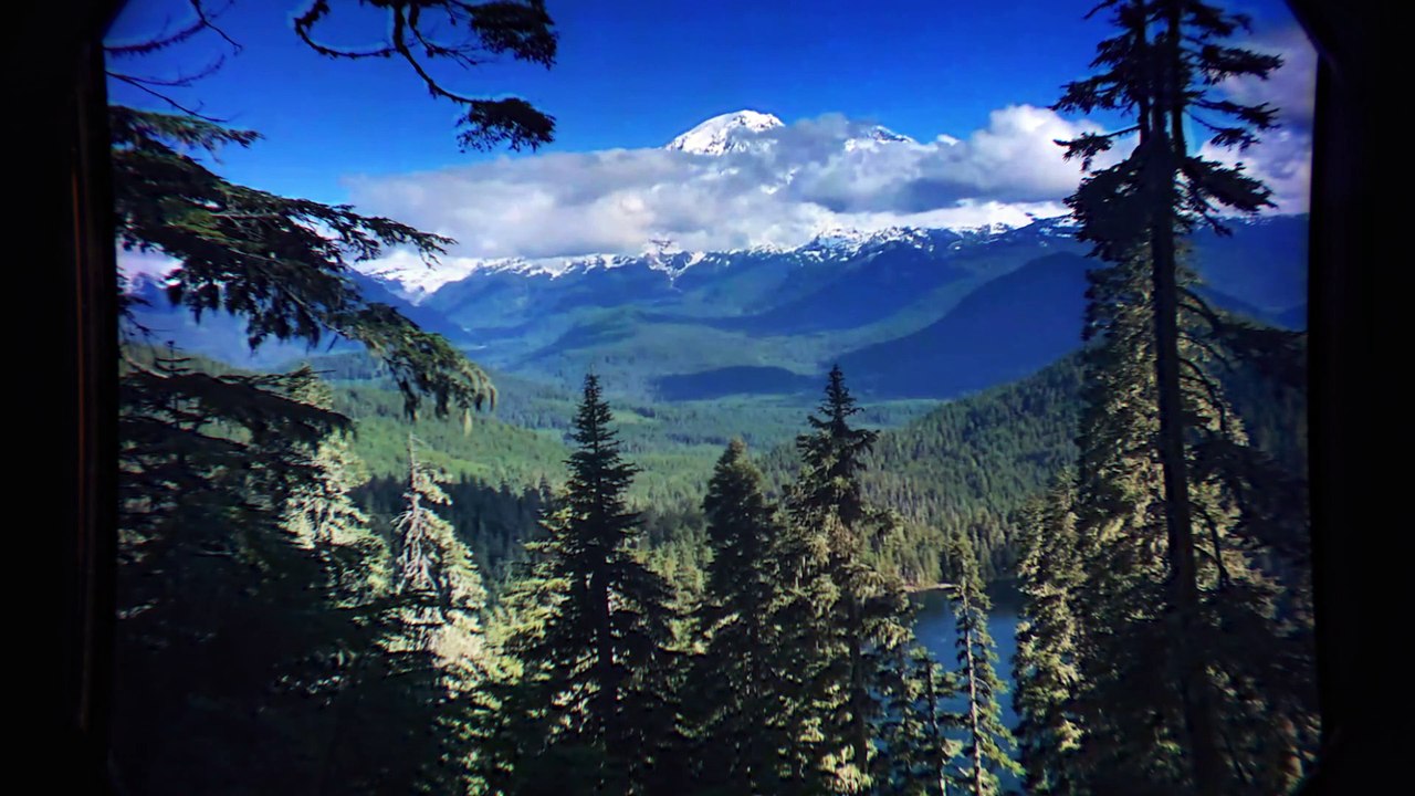 Dentro del laboratorio: Superar la prueba de Turing visual