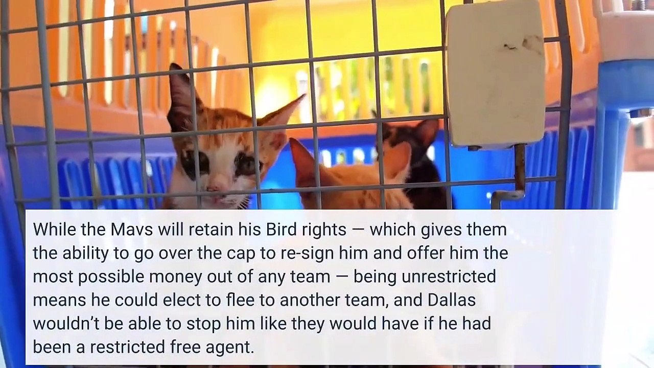 Jalen Brunson Free Agency How Much Is Too Much For Mavericks