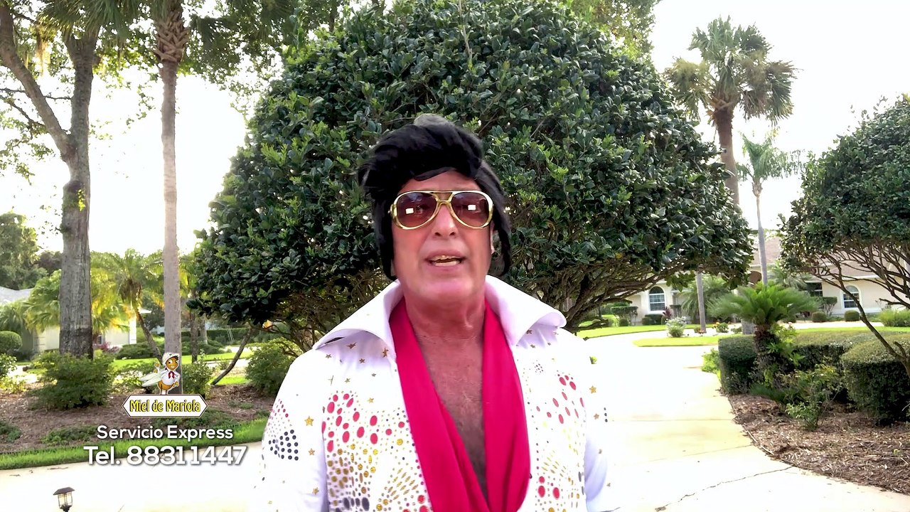 PLANCHA HITS 08 Julio 2022