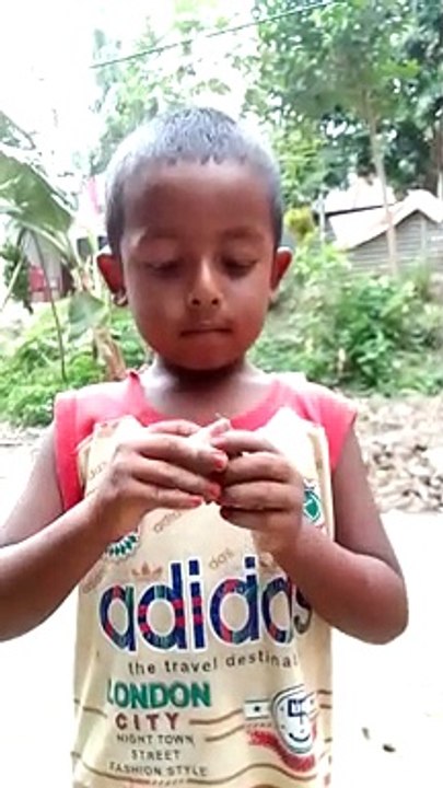 গ্রামের বালকের কথা