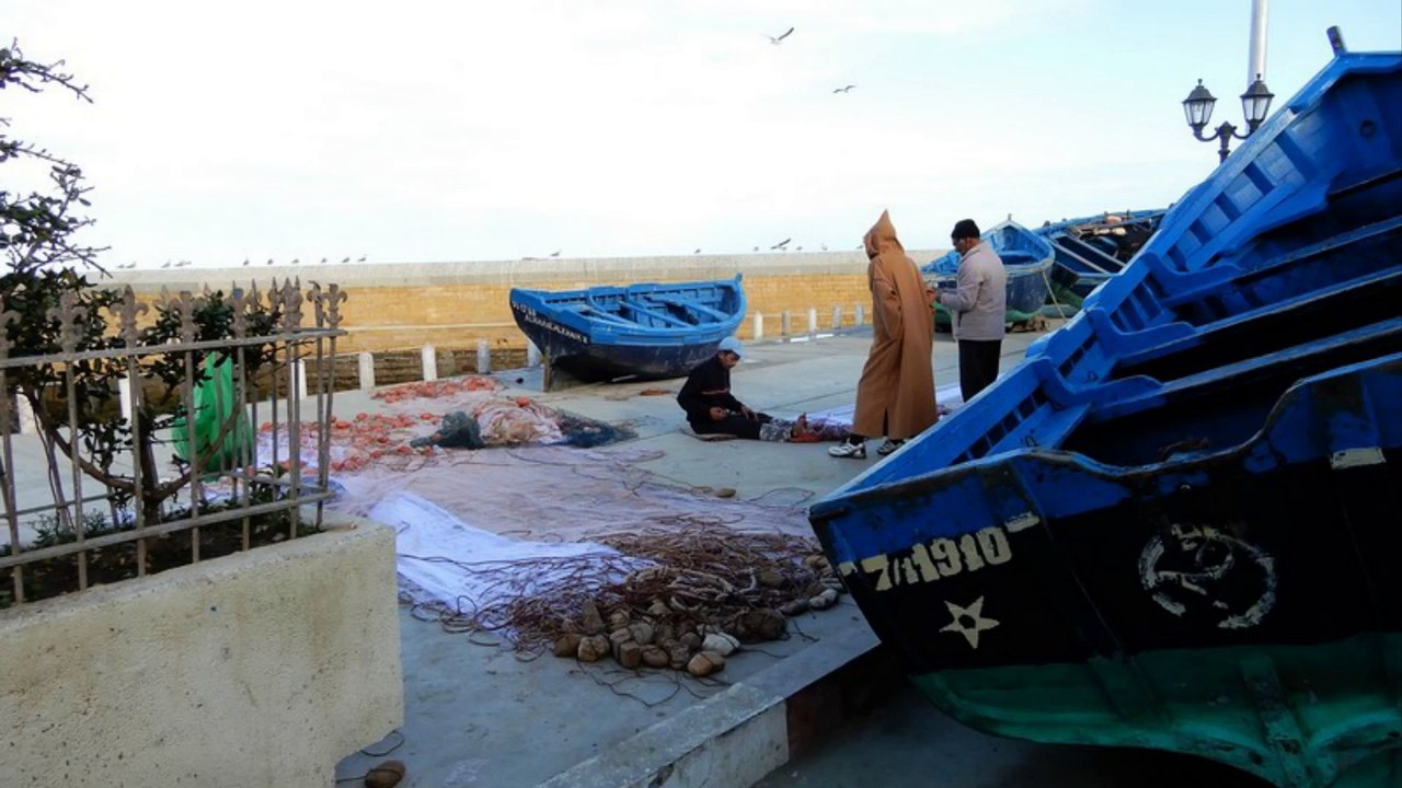 Maroc (Essaouira (2))