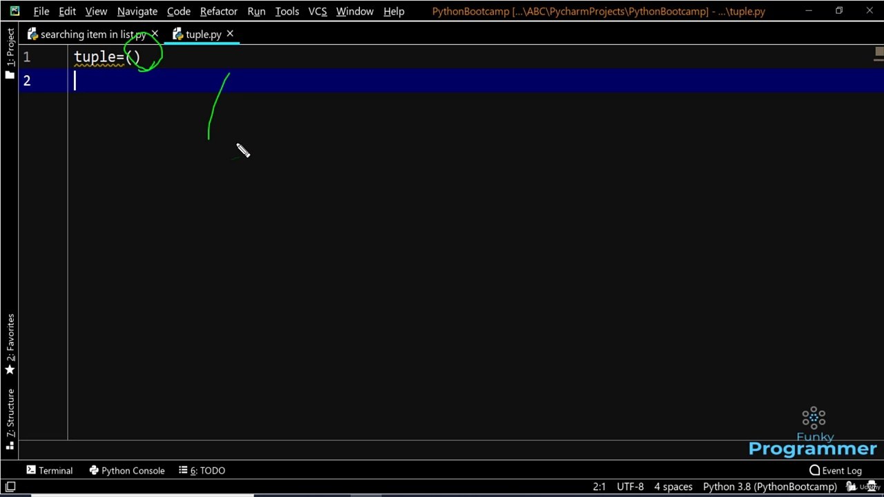 Introduction to the Tuples