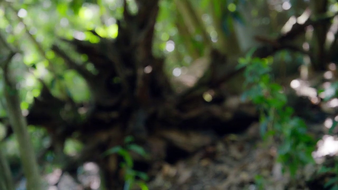 3% Staffel 2 Folge 8 HD Deutsch