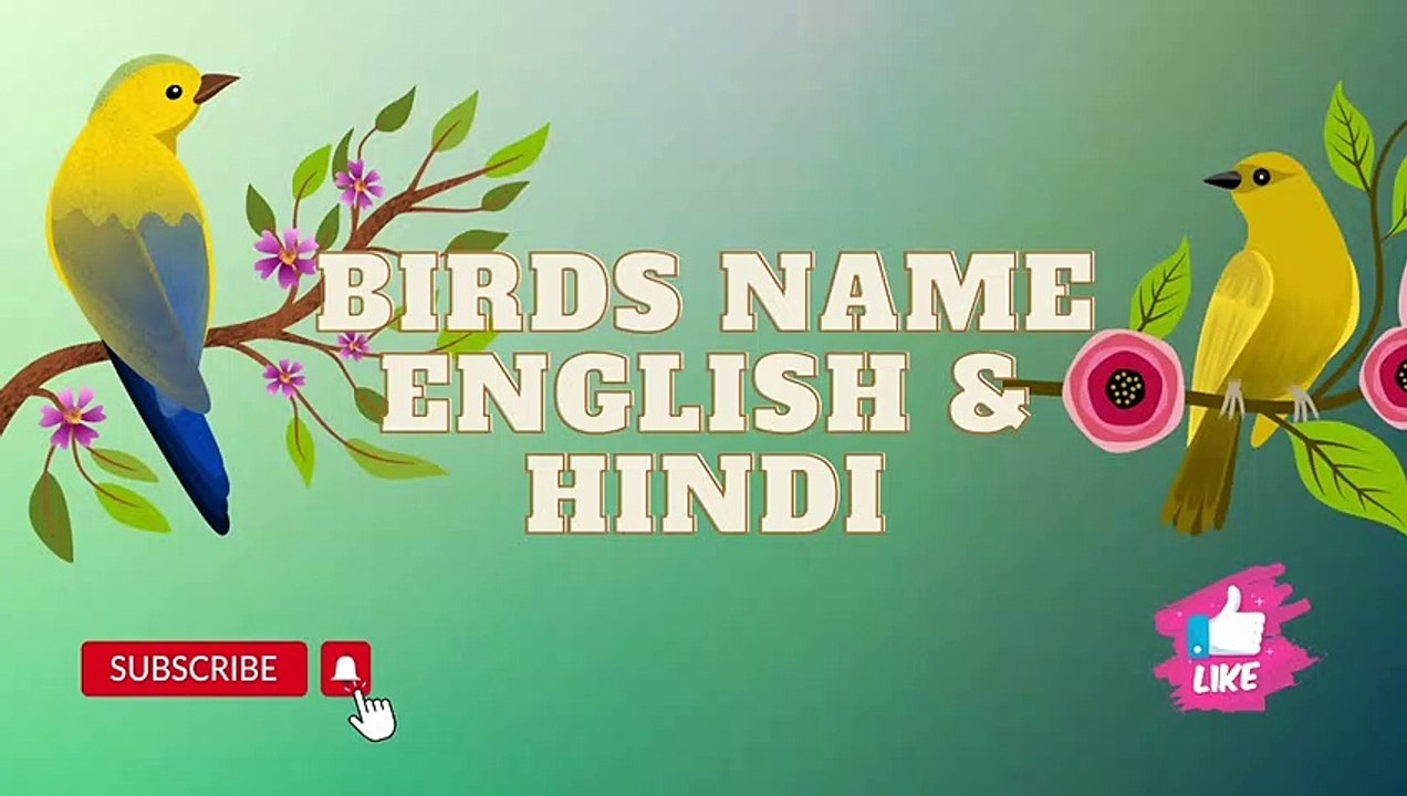 Birds Name in English and Hindi