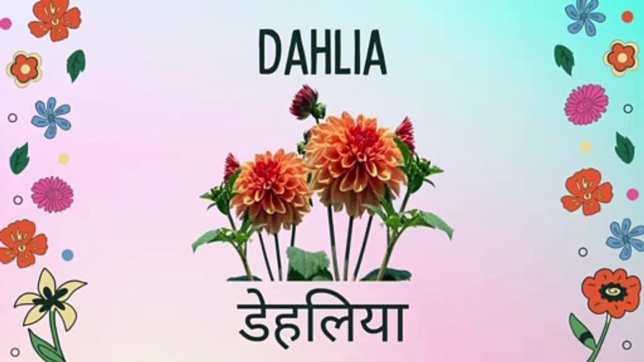 Flowers Name English and Hindi