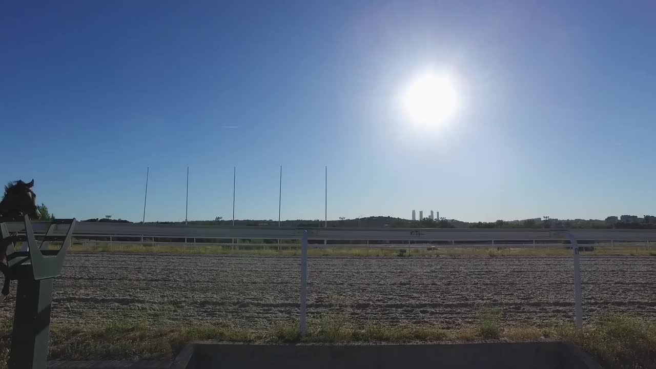 Reportaje: Las mujeres que quieren conquistar el mundo las carreras de caballos | EL PAIS
