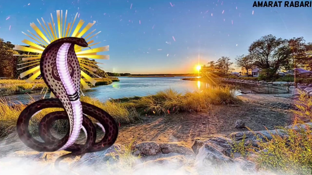 Goga maharaj status alight motion