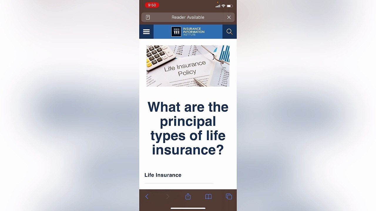 Different Types of Insurance 🛡️