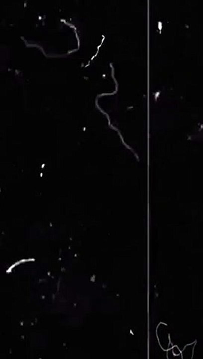 🔥 Fresh New Song & Stylish Shorts Video | Must-See Music & Fashion!