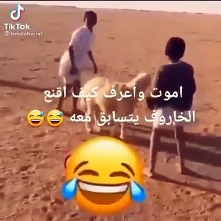 كيف أقنع الخروف يتسابق معاه ؟