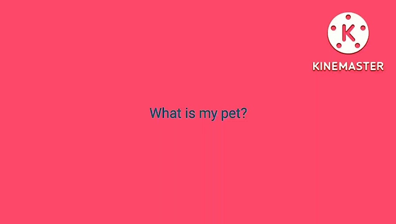 Guess My Pet 🐾