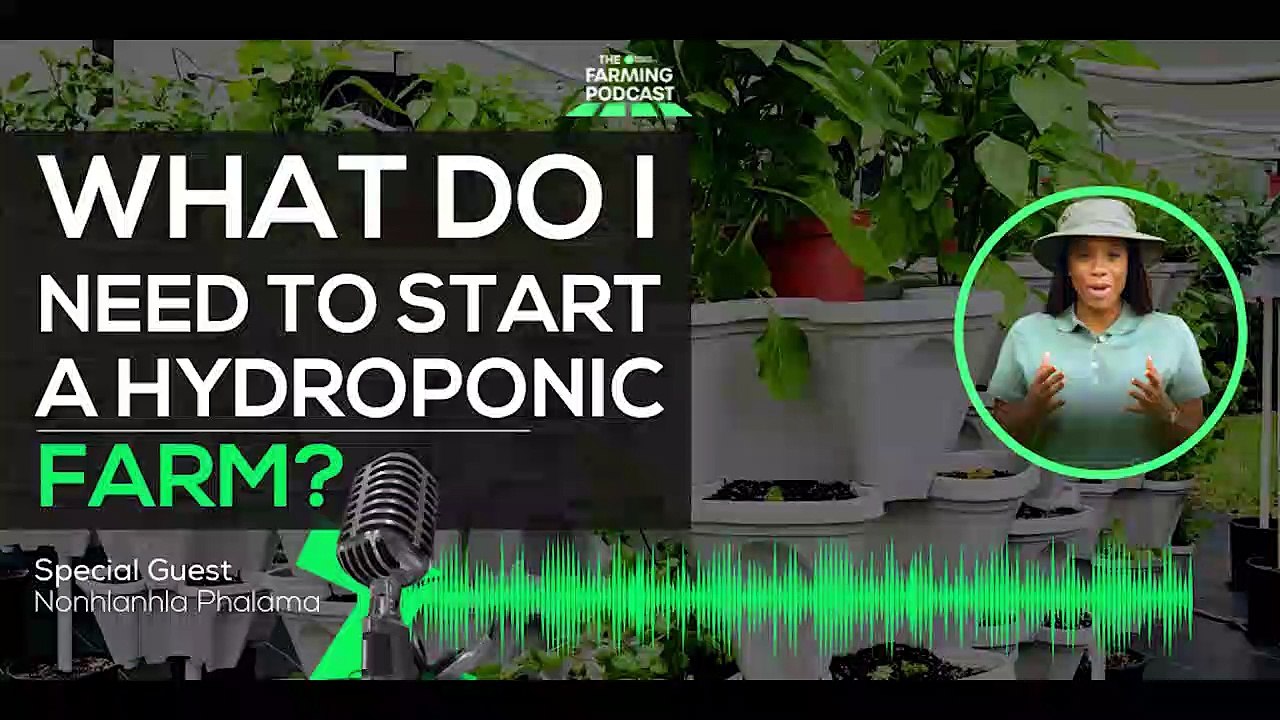 How to Start a Hydroponic Farm: Essential Tips & Requirements 🌱