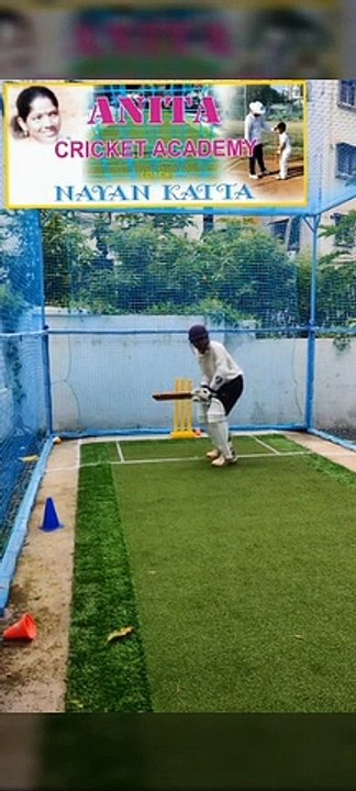 Master Cricket Skills: Learn the Latest Trends and Techniques 🏏
