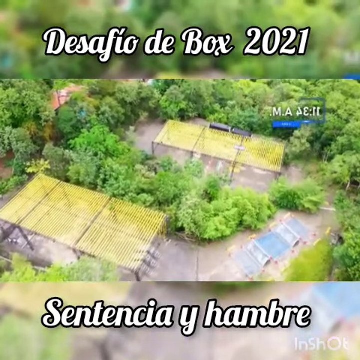 Desafio de Box 2021 - Sentencia y Hambre