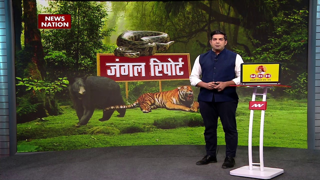 Maharashtra Breaking : Chandrapur में अर्थ कंजर्वेशन संस्था ने किया अजगर का रेस्क्यू |