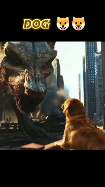 The difference between dag and lion.