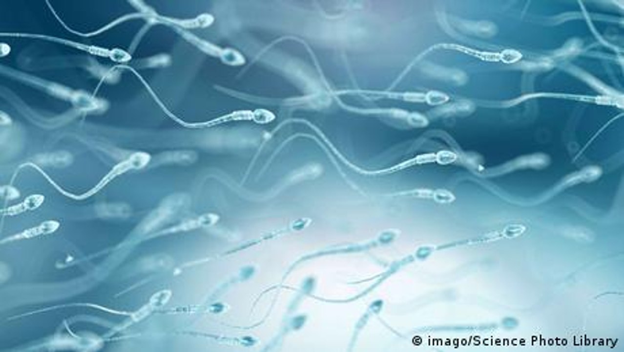 Better bites for better sperm