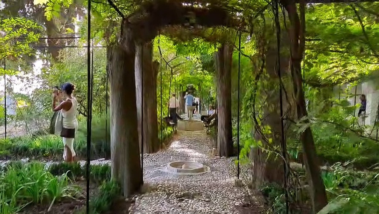 Google Pixel 7 Pro Full HD HDR10