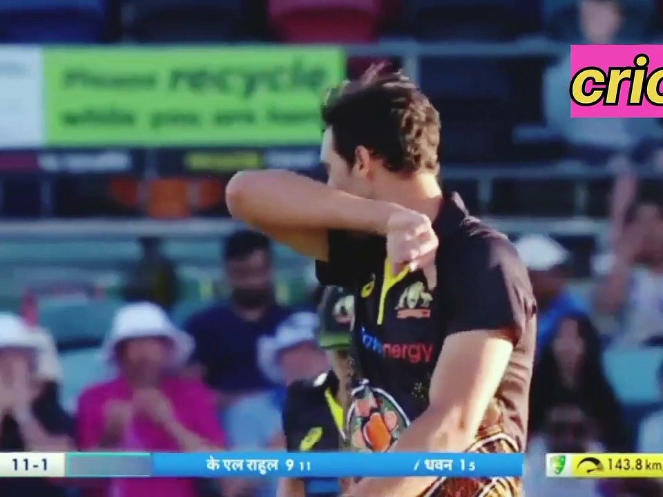 Epic Cricket Shots That Will Leave You Speechless ⚡