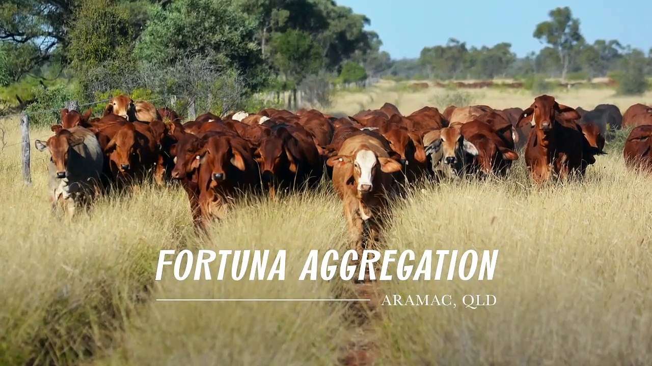 Fortuna Aggregation, Aramac, Qld - October 2022 - Farmonline