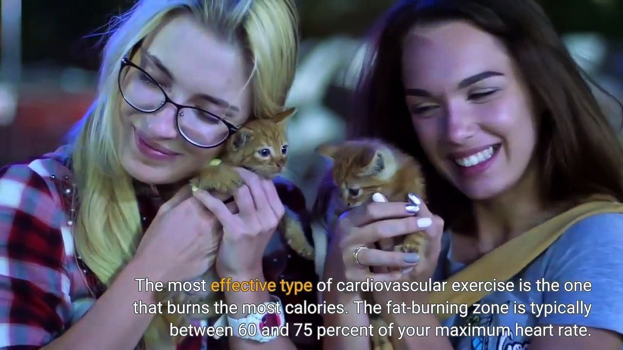 What Type of Cardio is Right For You?