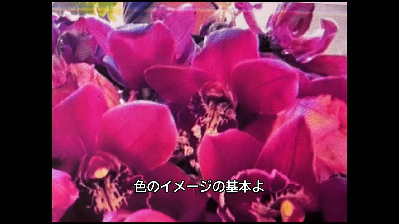 映画『ザ・ロストシティ』BD特典映像